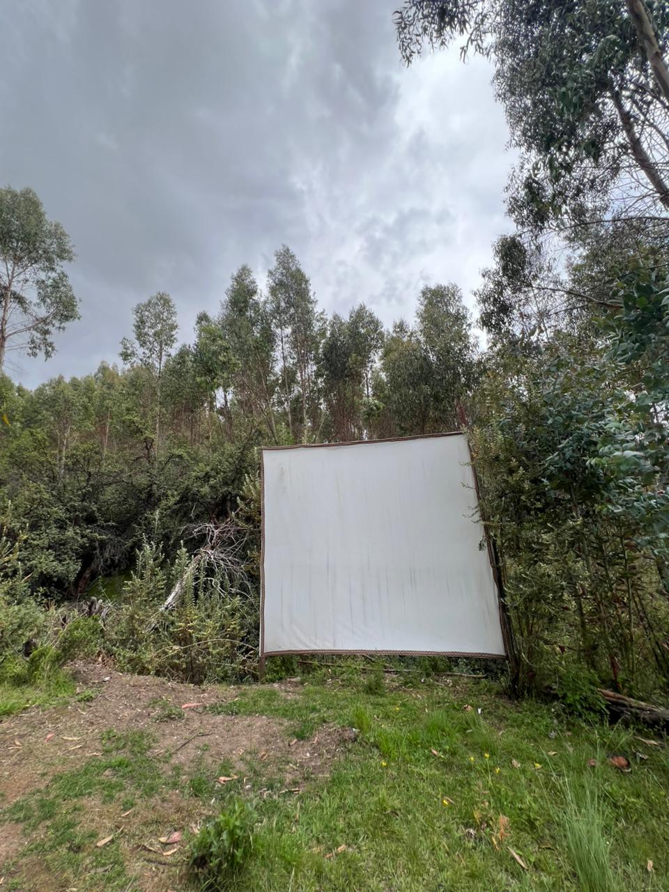 Noche mágica en pareja con cine al aire libre en Cusco Sana Lodge